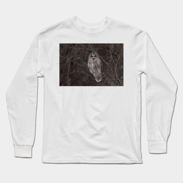 Barred Owl - Kanata, Ont Long Sleeve T-Shirt by Jim Cumming